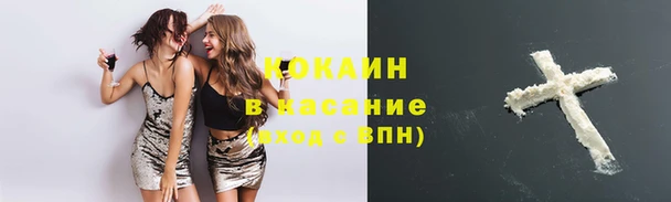 кокс Дмитров