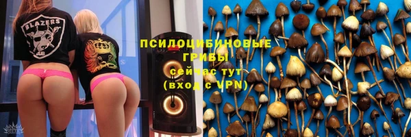 кокс Дмитров